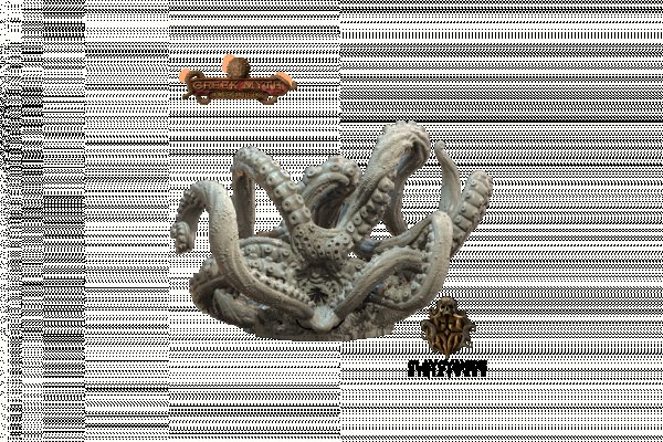 Kraken 5at