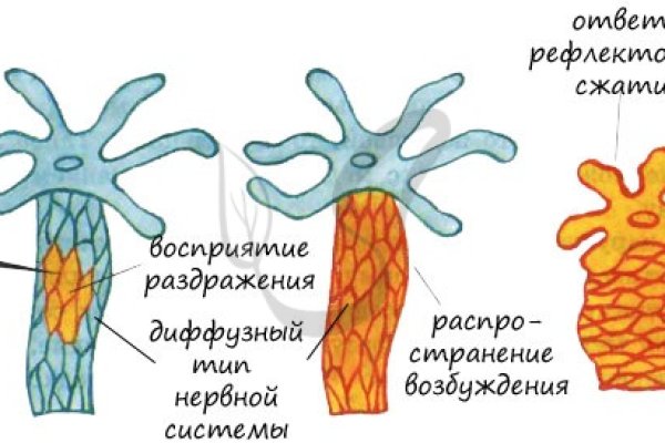 Где взять ссылку кракена